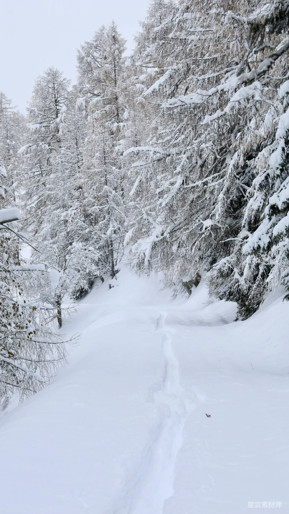一个人在雪覆盖的山坡上滑雪下滑