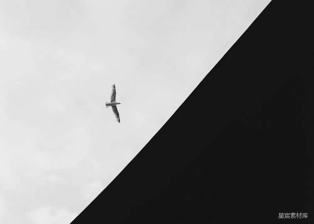 高清摄影  一张黑白照片，显示一架飞机在空中飞行。