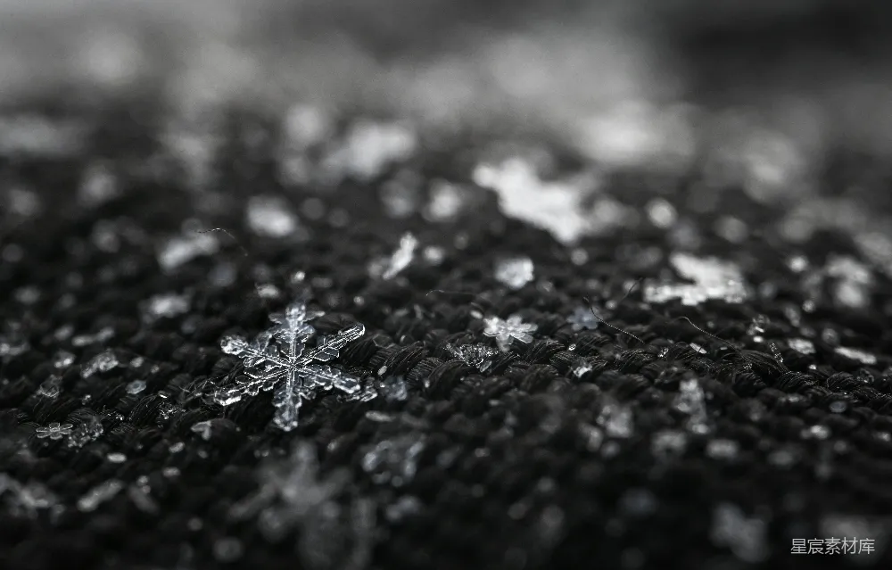 高清摄影  一张黑白照片，照片中是一个雪花。