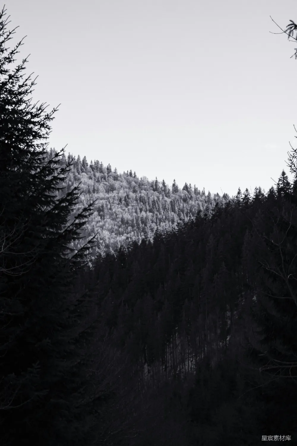 高清摄影 壁纸 一张黑白相间的雪山照片
