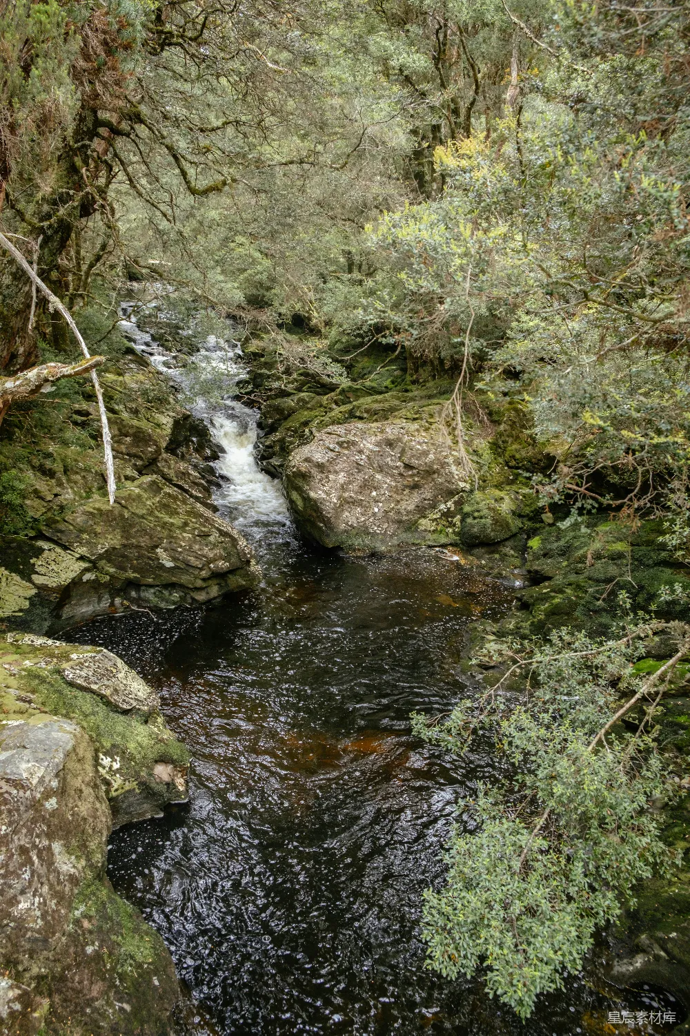 一条小而岩石嶙峋的溪流穿过一片森林。