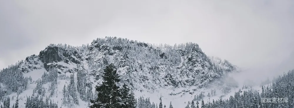 覆盖着白雪的山峦，树丛夹杂其侧