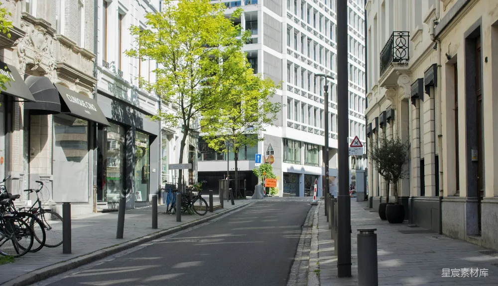 一条有建筑和树木的街道