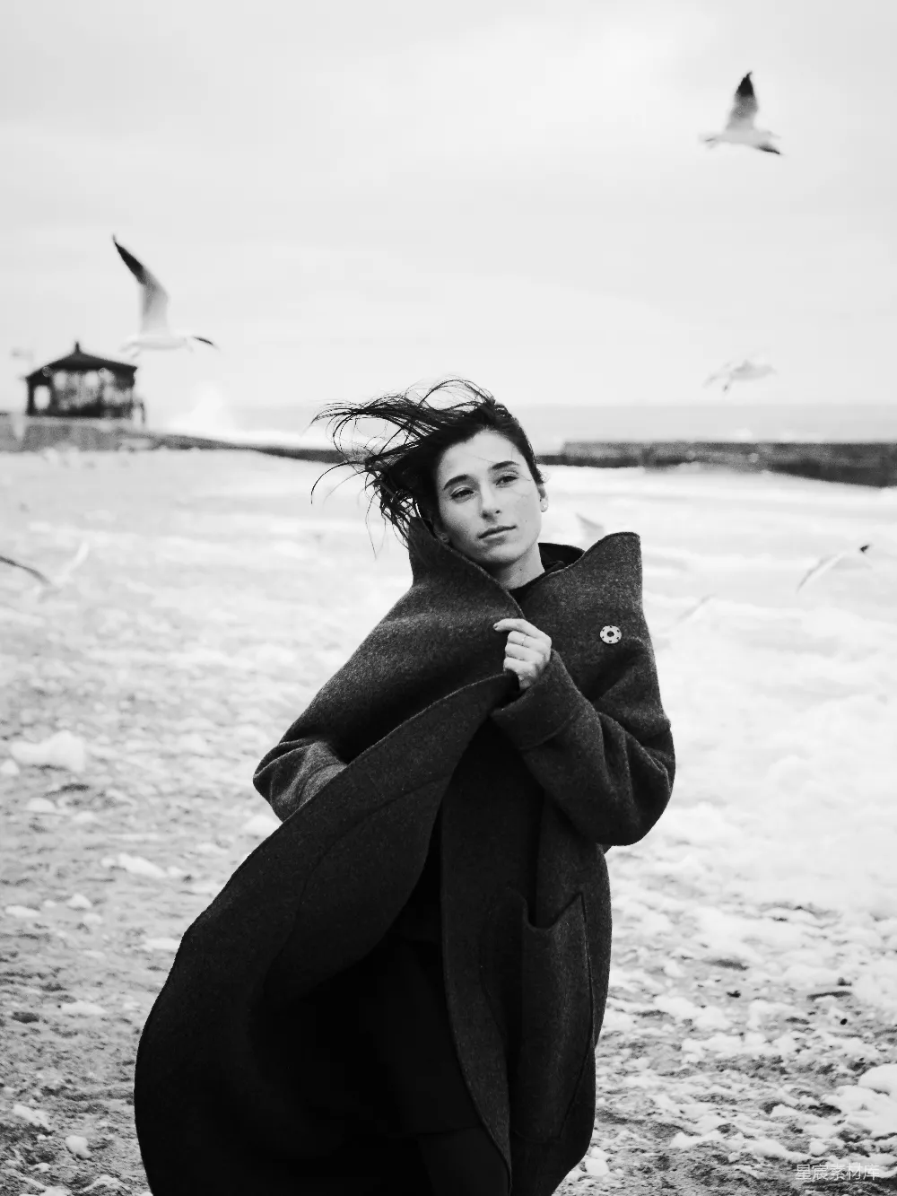高清摄影 人物 穿着黑色外套的女人在海鸥飞翔中行走