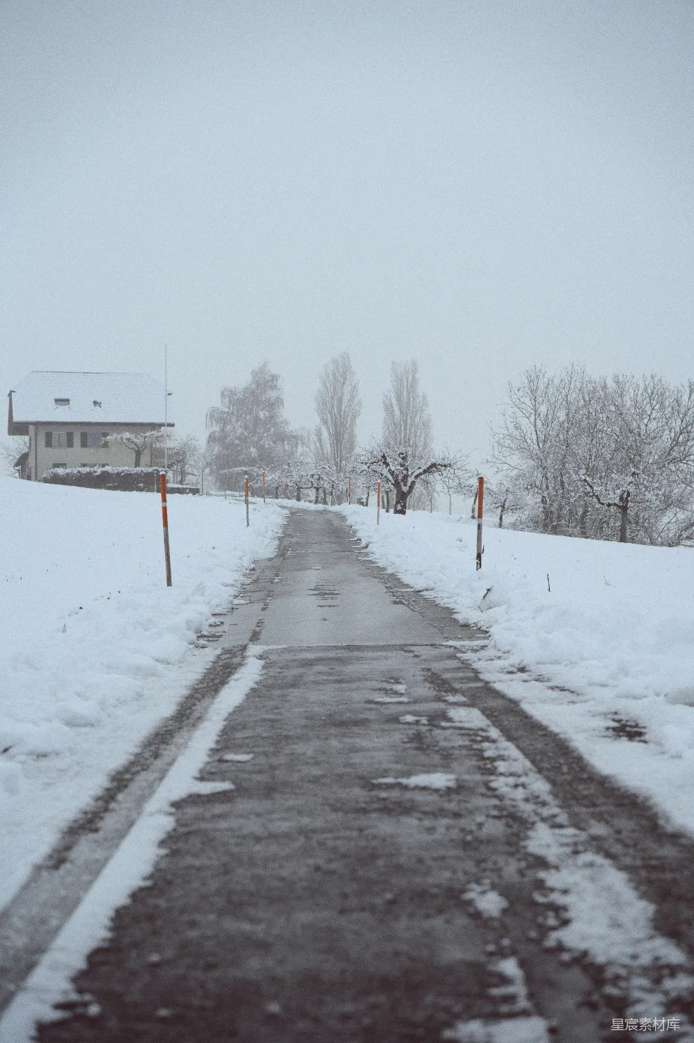 白天覆雪的道路