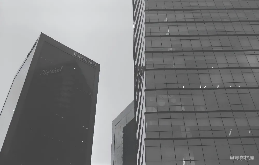 高清摄影  一张黑白照片，描绘了一栋高大的建筑。