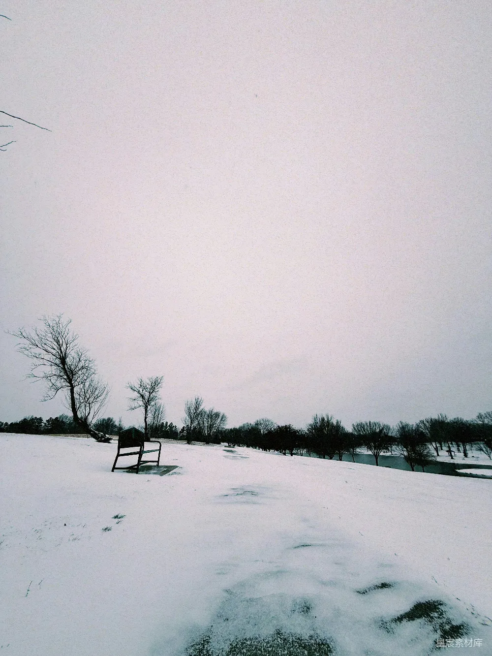 覆盖着白雪的公园里，树木光秃，有一个长椅。