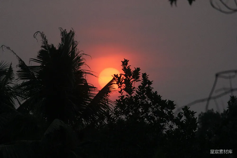 夕阳落在了一些树后。