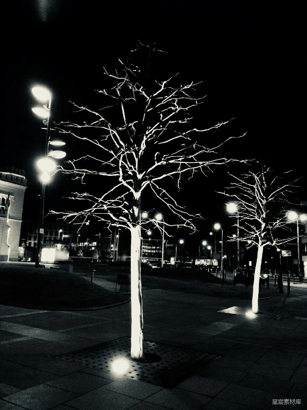 高清摄影  一张夜间拍摄的黑白照片，展示了一棵树。