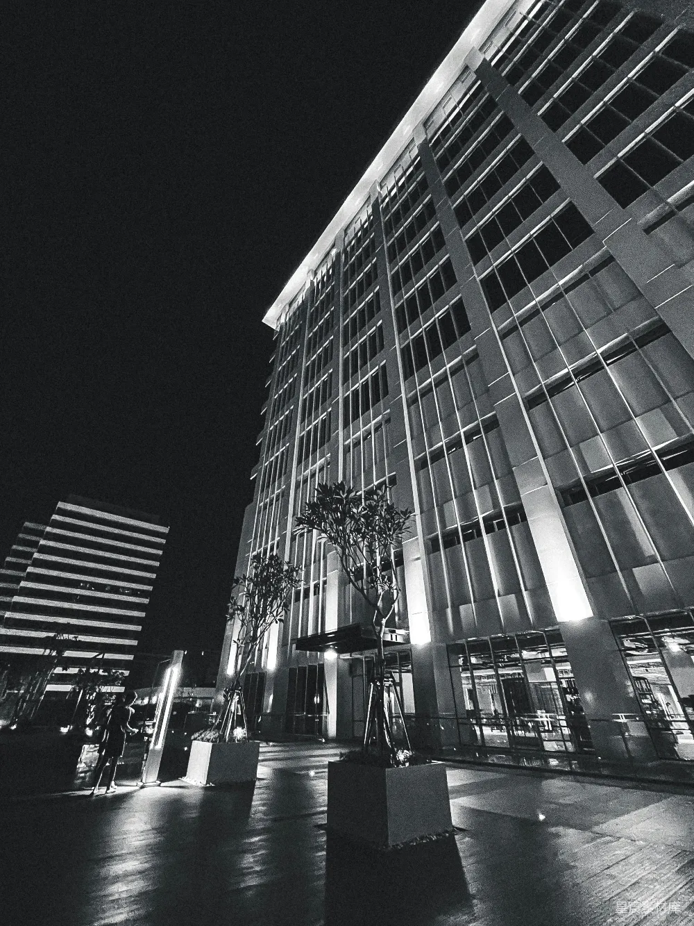 高清摄影  一张夜晚的黑白建筑照片