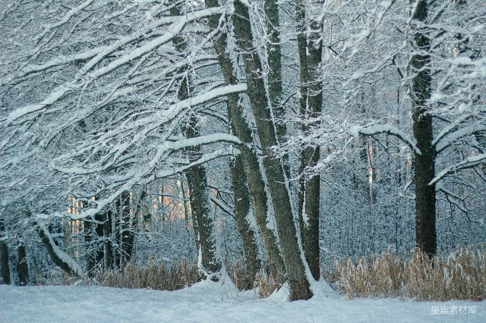 滑雪板爱好者正在一条积雪的山路上下滑