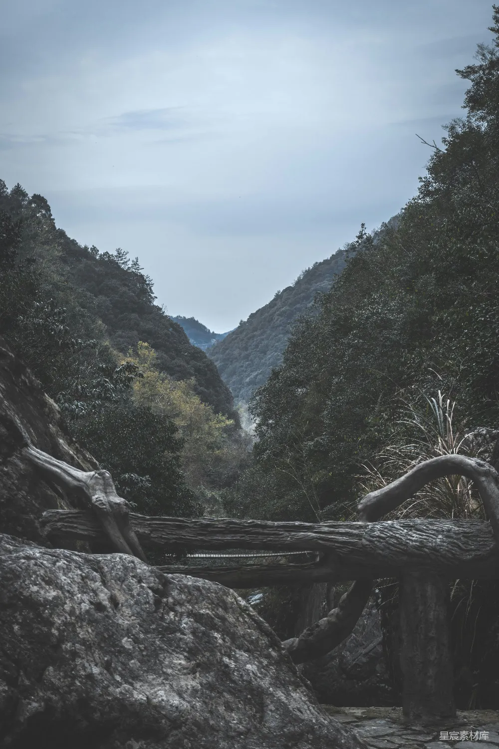 高清摄影  棕色的树桩位于绿草地上，旁边是青山，在白天。