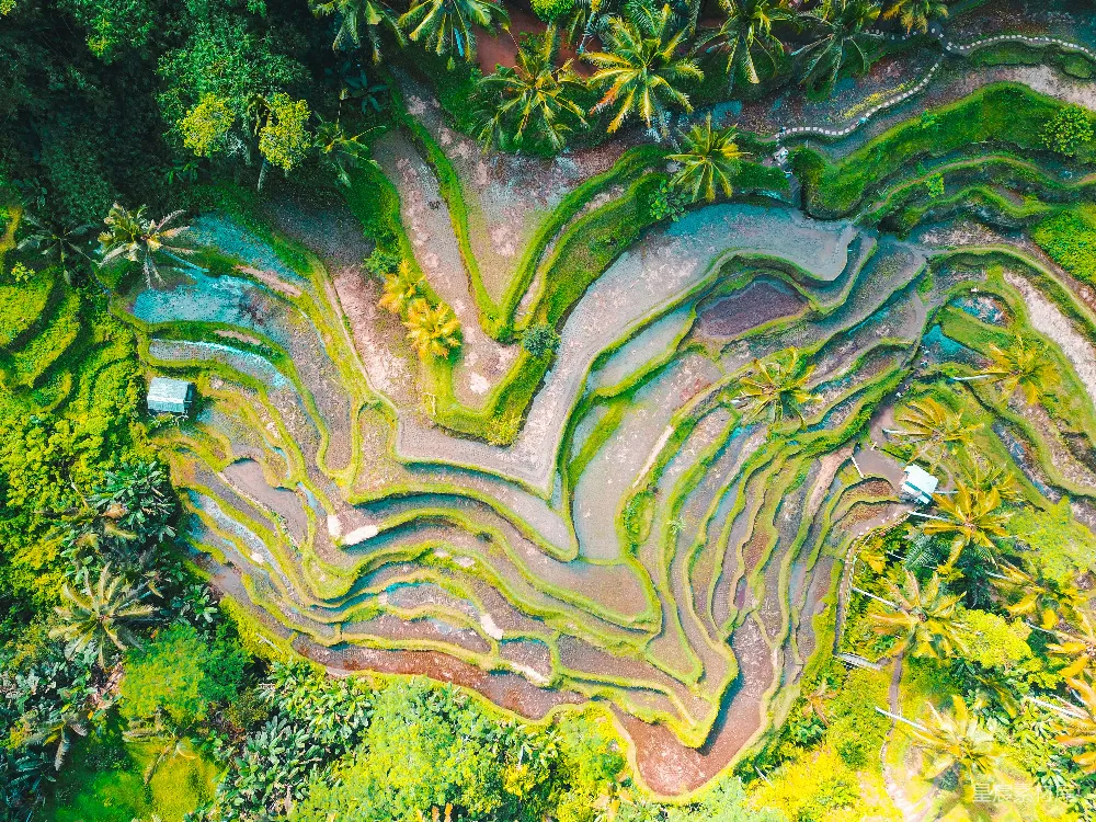 高清摄影 自然 白天拍摄的梯田航拍照片