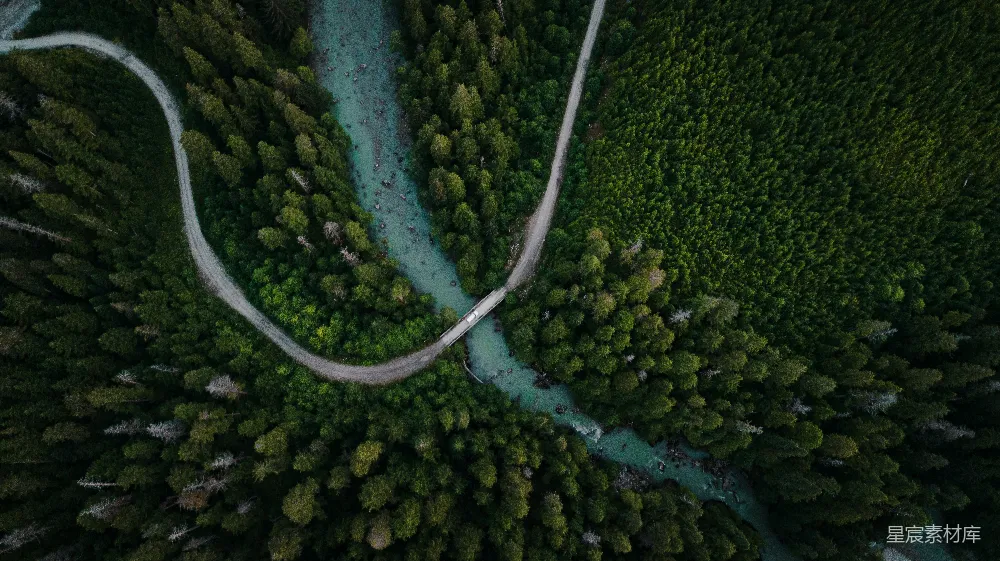 高清摄影 旅行 自然 壁纸 空中俯瞰绿树和河流的景象
