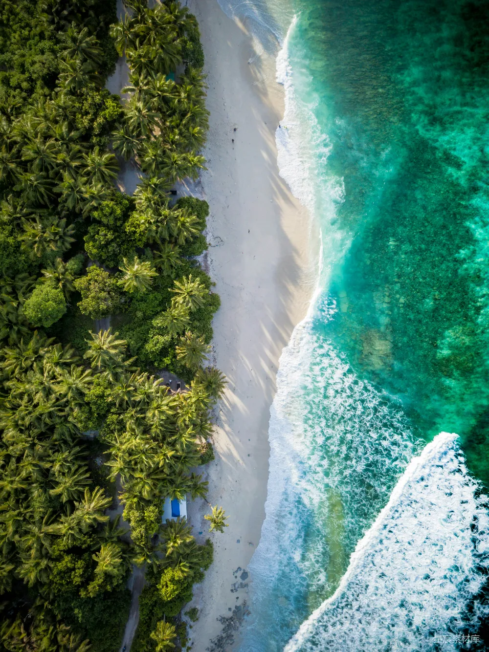 高清摄影  海滩的空中俯瞰图