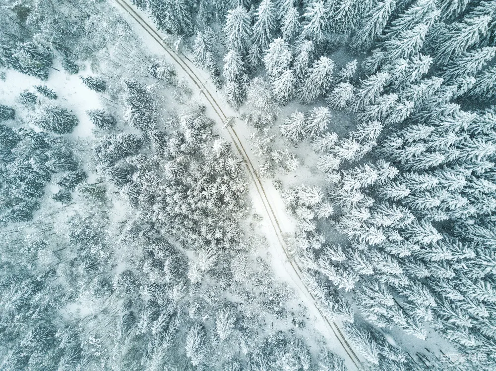 高清摄影  鸟瞰雪林