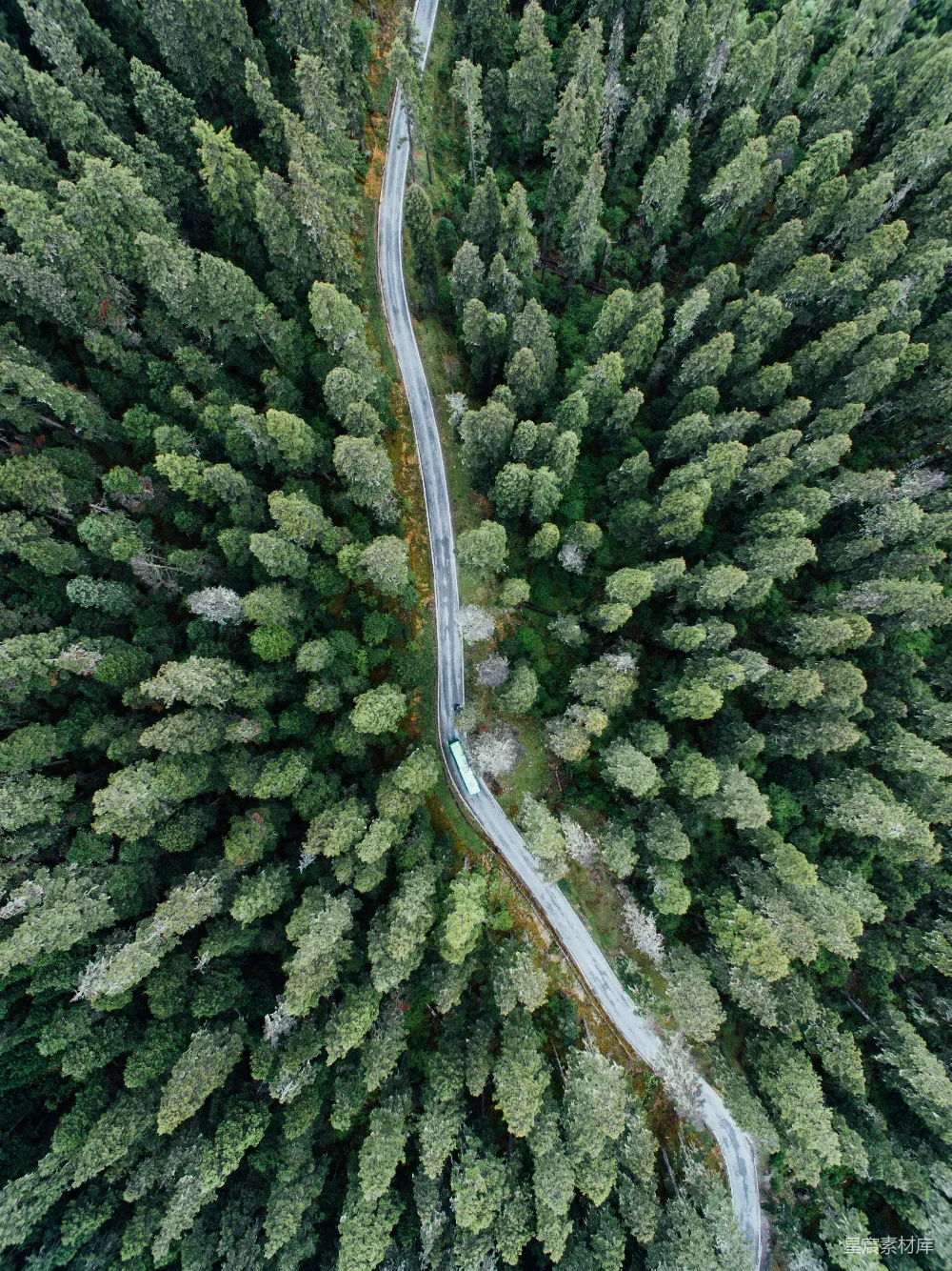 高清摄影  车辆在树木之间的道路上的航拍