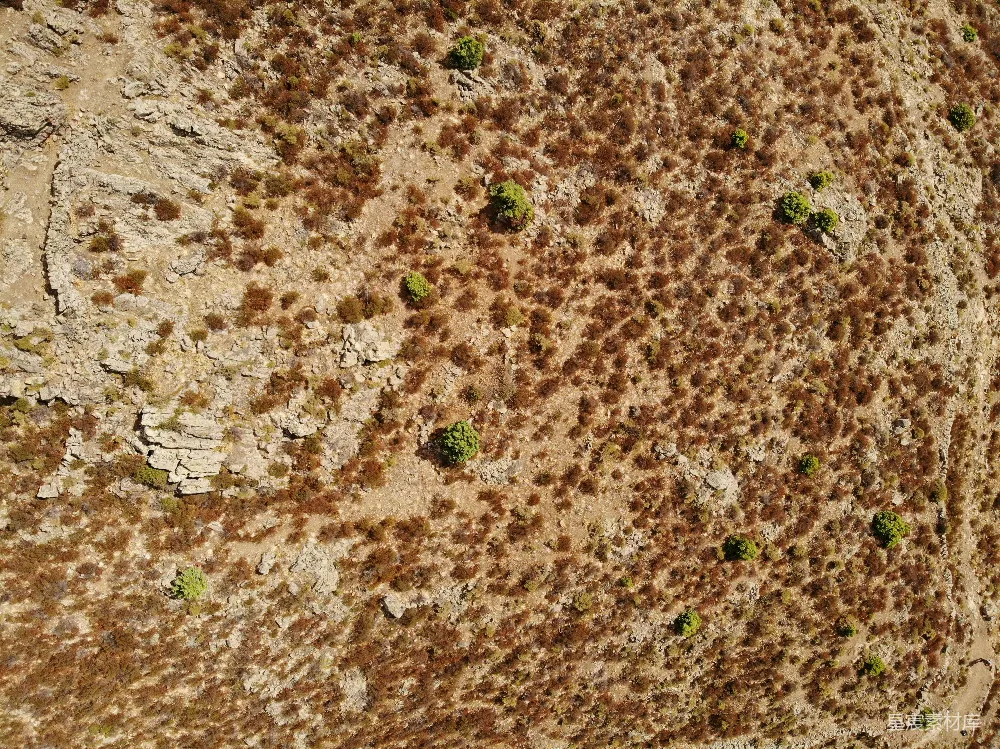 高清摄影 壁纸 一个泥土区域的特写