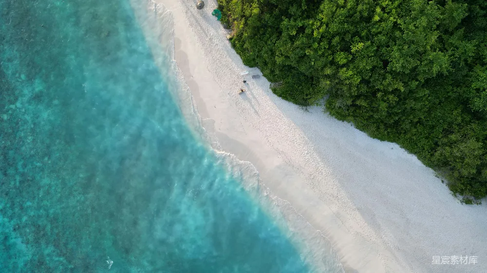 高清摄影  空中俯瞰海滩和森林区域的景色