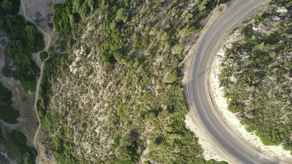 高清摄影  一幅道路被树木环绕的航拍图