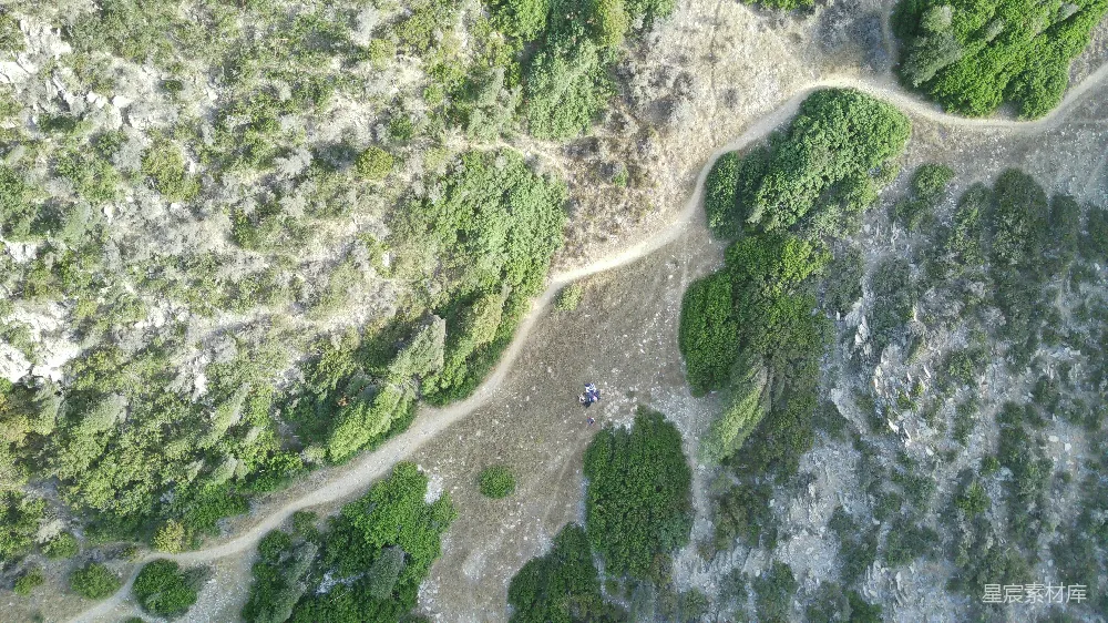 高清摄影  空中俯瞰一条土路，两旁环绕着树木。