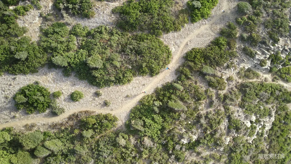 高清摄影  一条土路的空中俯瞰图，两旁环绕着树木。
