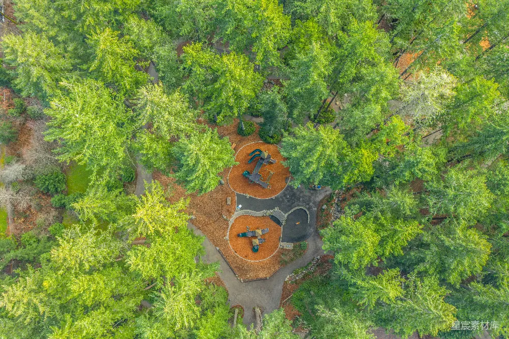高清摄影  棕色和黑色的蘑菇长在绿色的草地上