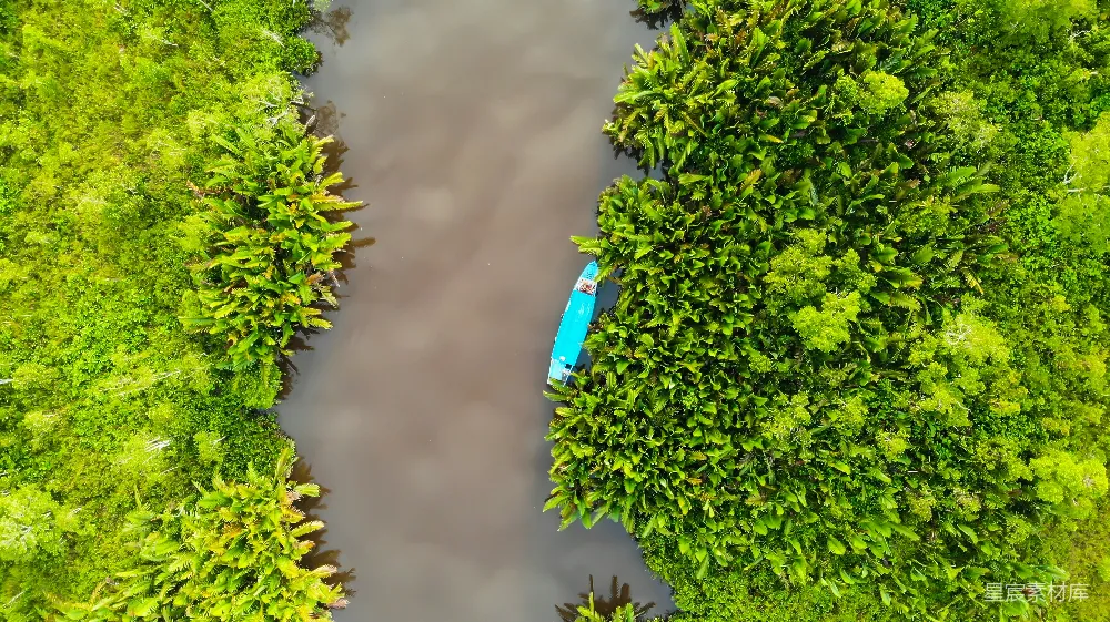 高清摄影  鸟瞰河流