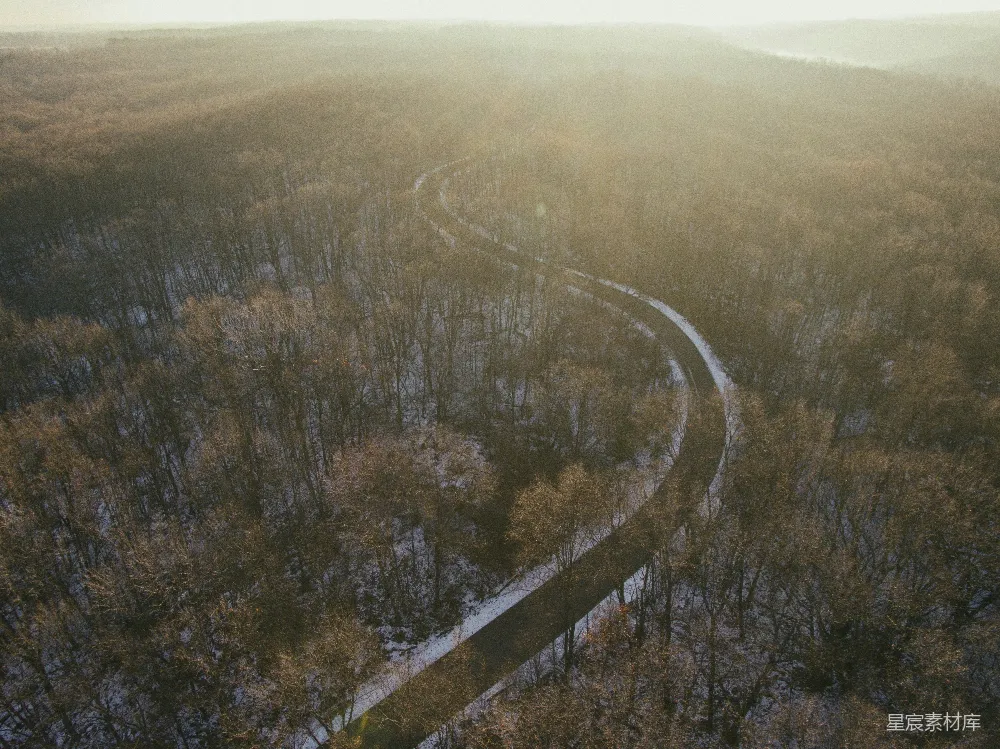 高清摄影  航拍道路周围的树木