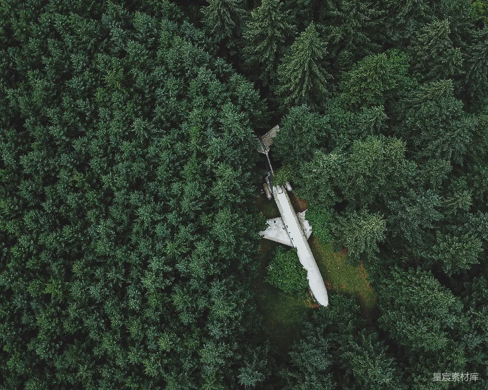 高清摄影  白天，一架黑白相间的飞机飞过绿树上空。