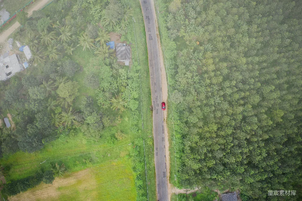 高清摄影  空中俯瞰绿色树木和草地的场景