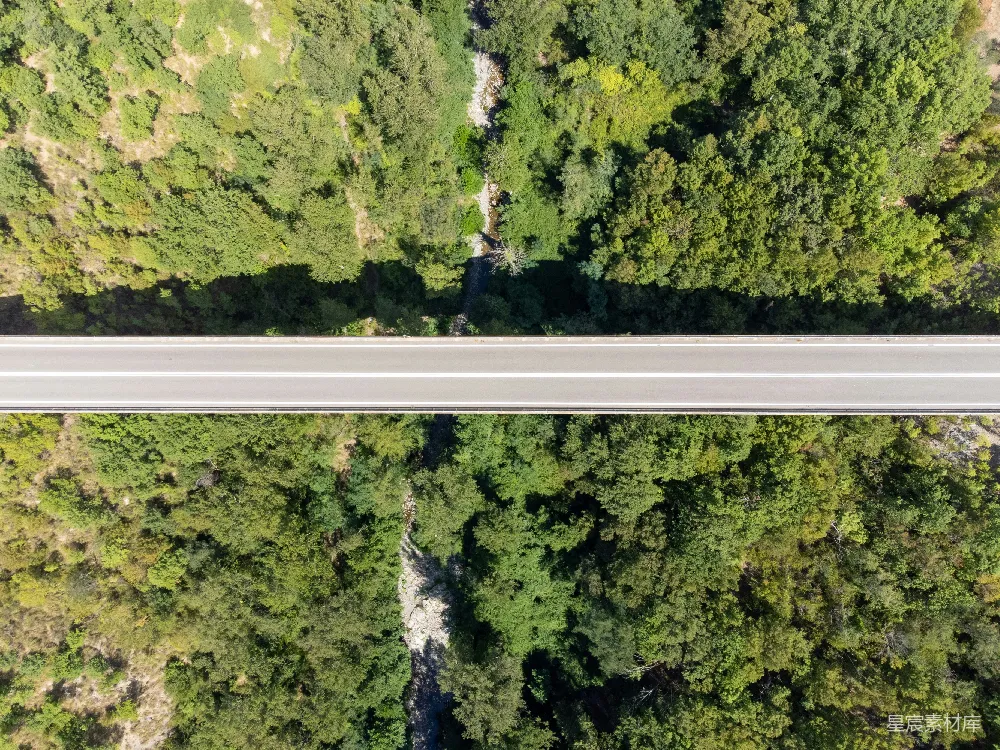 高清摄影  一条道路，两旁有树木。