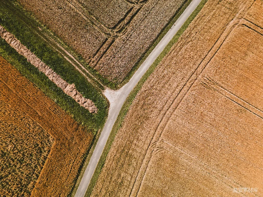 高清摄影  一张小麦田和道路的航拍图