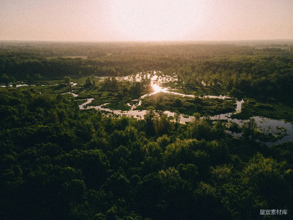 高清摄影  一片风景，远处有树木和一片水域。