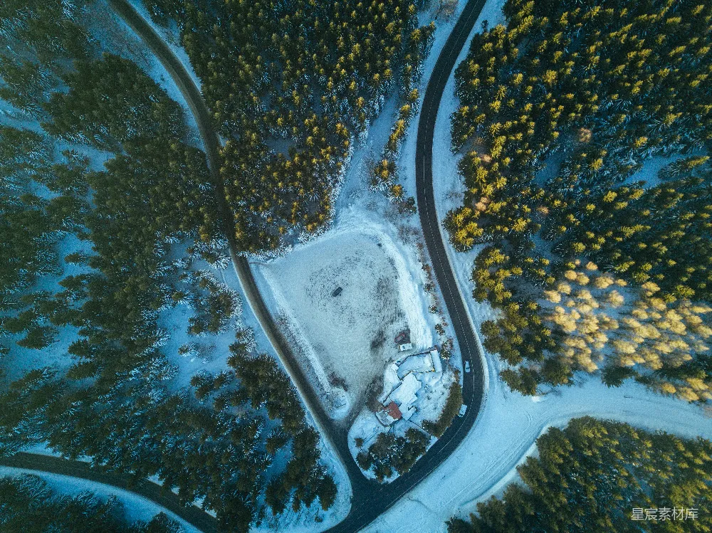 高清摄影  道路被树木环绕的航拍照片
