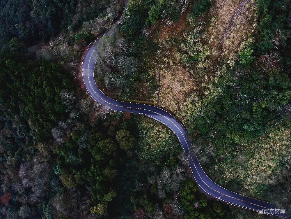 高清摄影  树木之间的道路