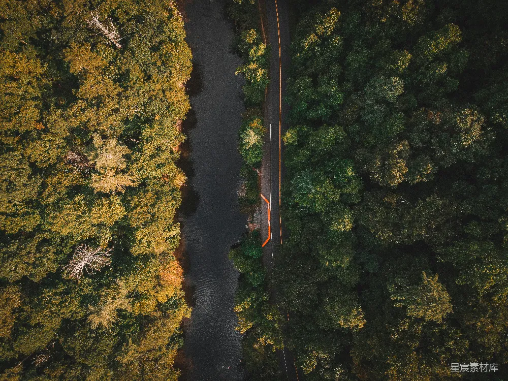 高清摄影  一条道路被树木环绕的空中俯瞰图
