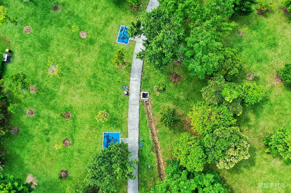 高清摄影  一个绿草如茵的区域，上面有树木。