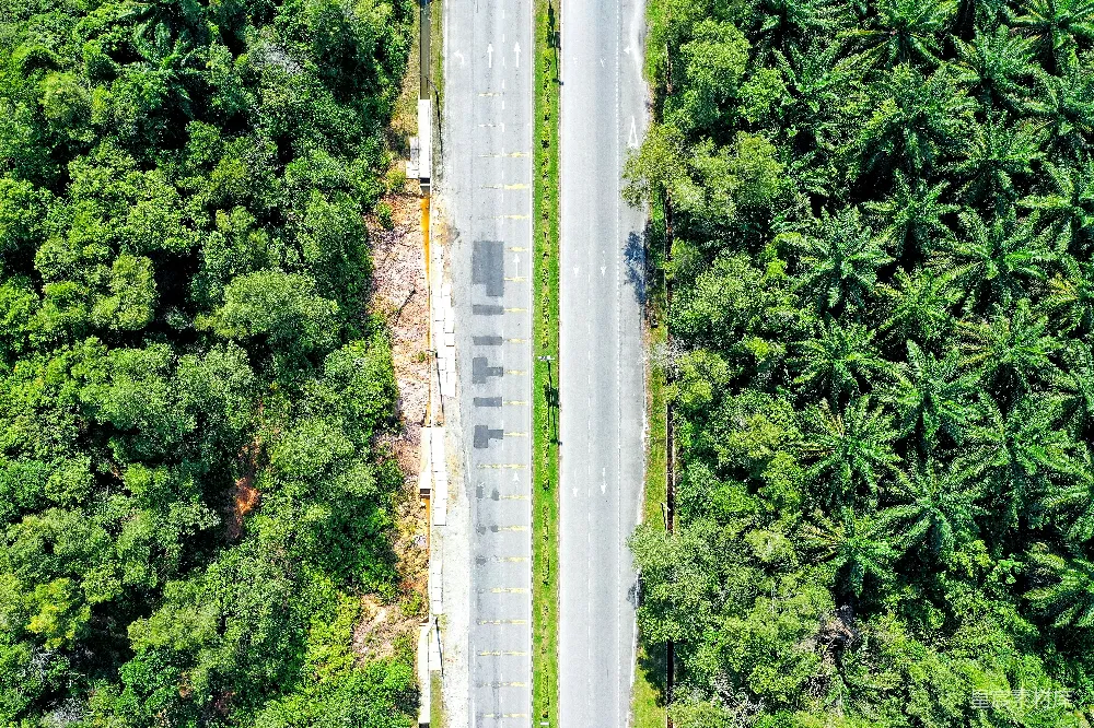 高清摄影  一条道路被树木环绕的空中俯瞰图