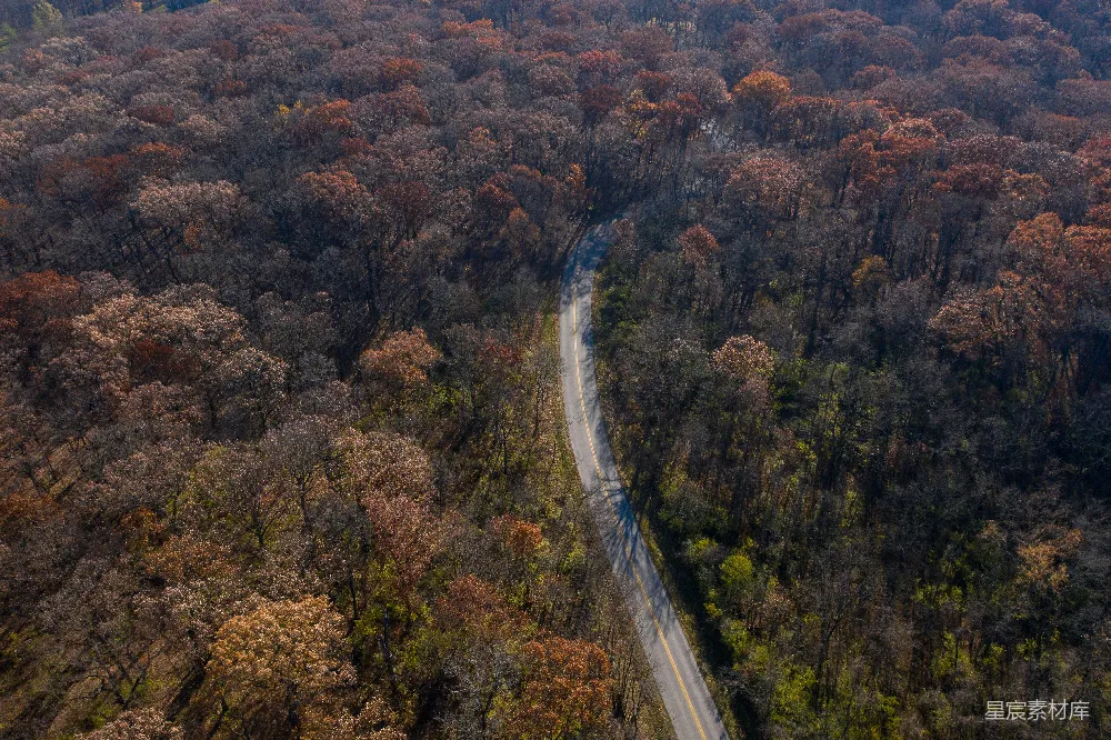 高清摄影  白天的空中俯瞰绿树和道路