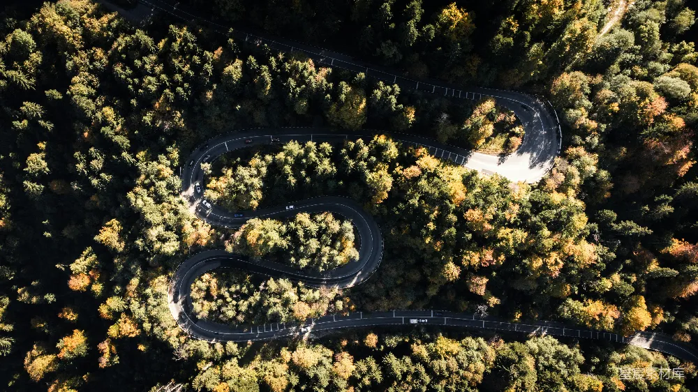 高清摄影  一条蜿蜒的道路被树木环绕的俯瞰图