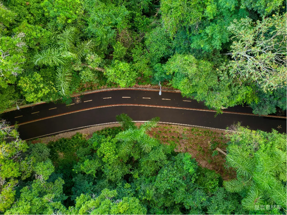 高清摄影  森林中间的一条道路的俯瞰图