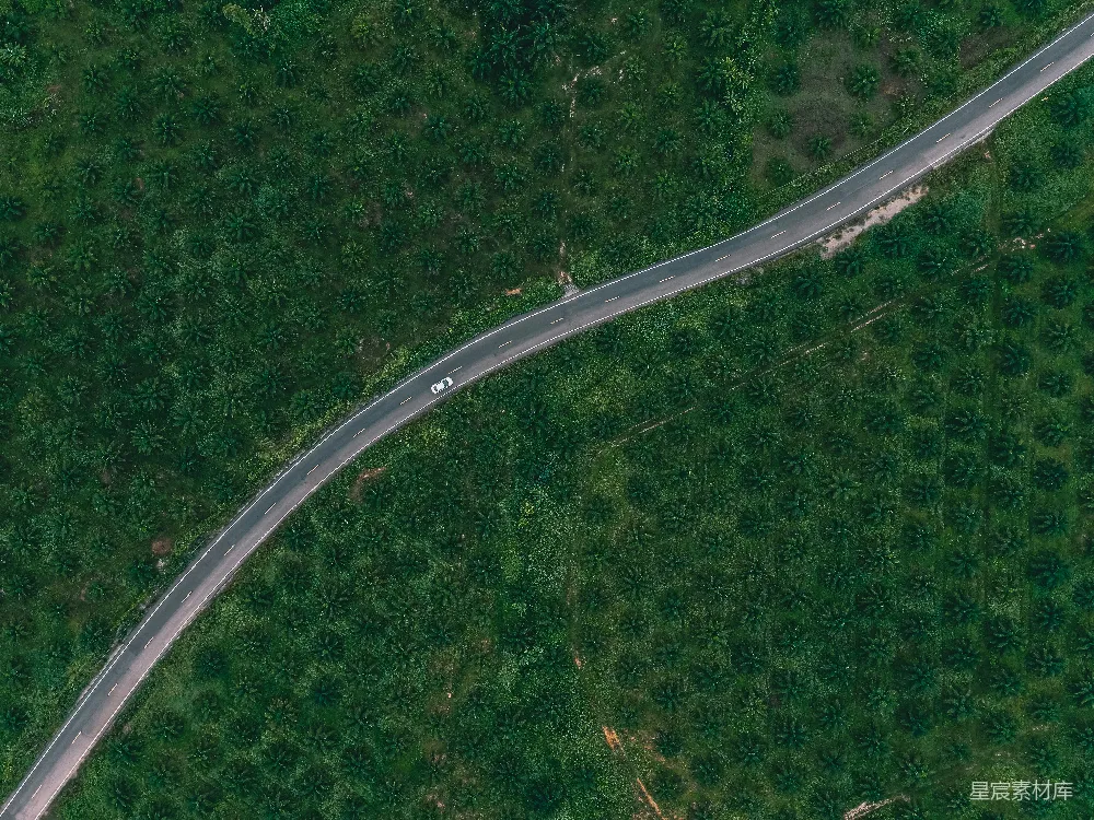高清摄影  白天间的树木间道路的航拍照片