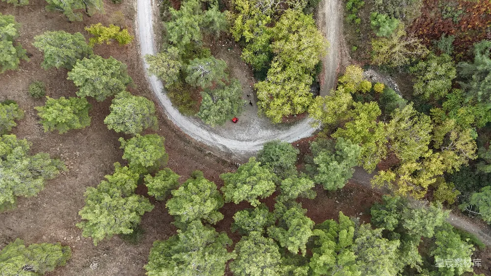 高清摄影  森林中间的一条道路的空中俯瞰图