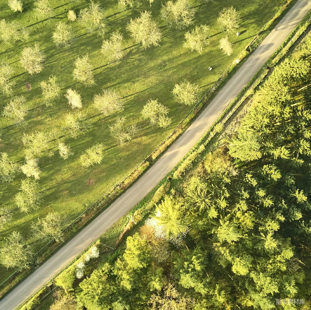 高清摄影  道路俯视图