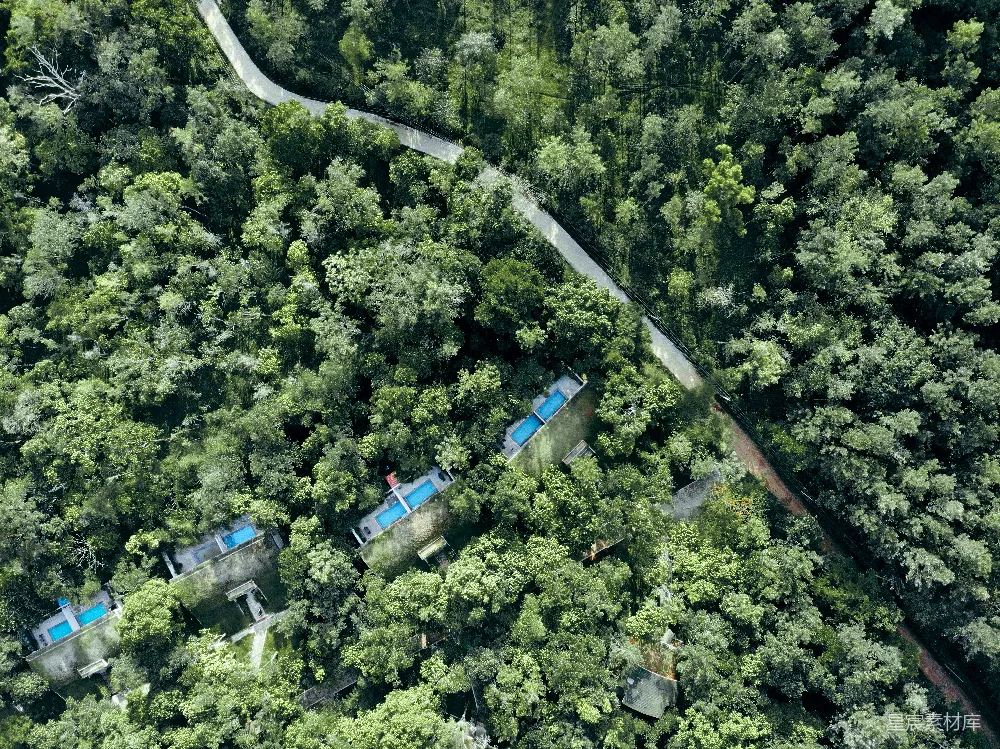高清摄影 壁纸 自然 旅行 在森林中间俯瞰一条道路的景象