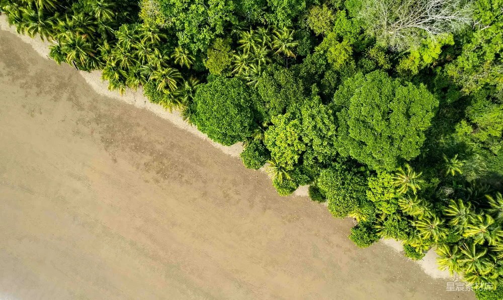 高清摄影 旅行 自然 壁纸 海滩全景图，周围环绕着树木。