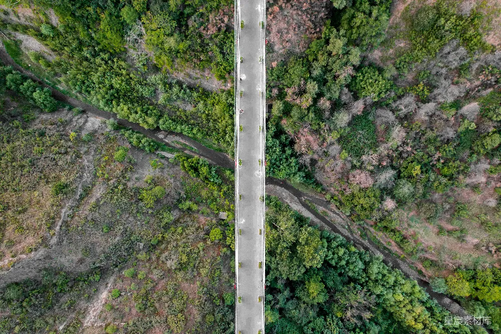 高清摄影  空中俯瞰一条被树木环绕的道路