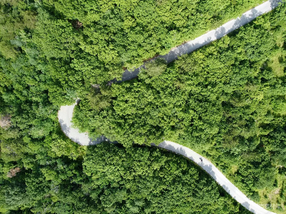 高清摄影  空中俯瞰绿色森林