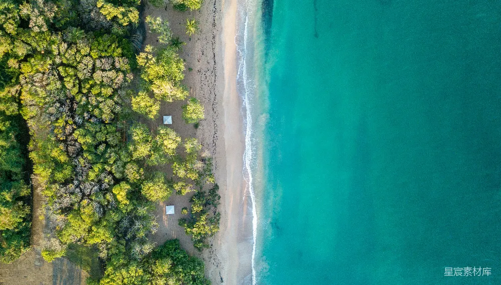高清摄影  海洋附近的树木俯瞰图